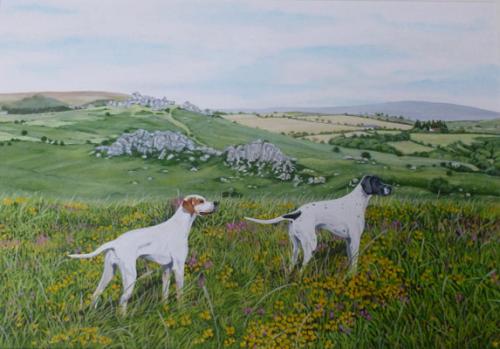 Dartmoor pointers
