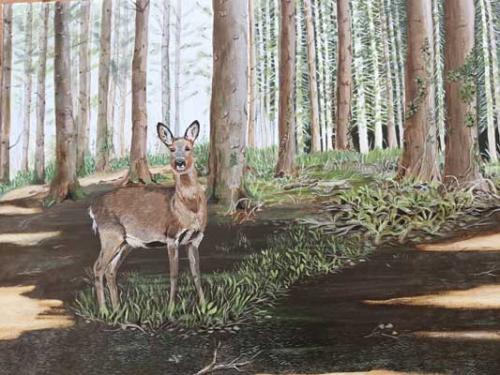 Deer