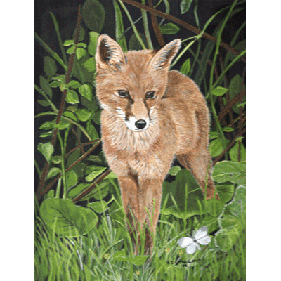 Foxcub
