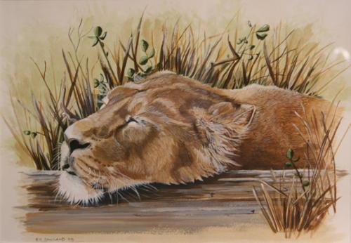 Sleeping lion