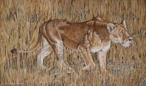 Lion