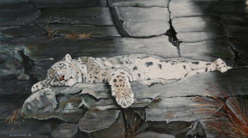 Snow leopard