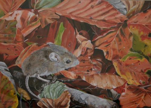 Woodmouse