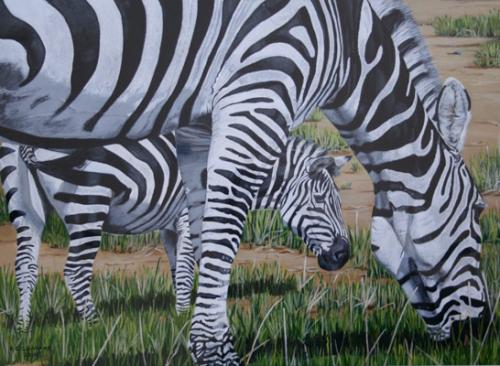 Zebra